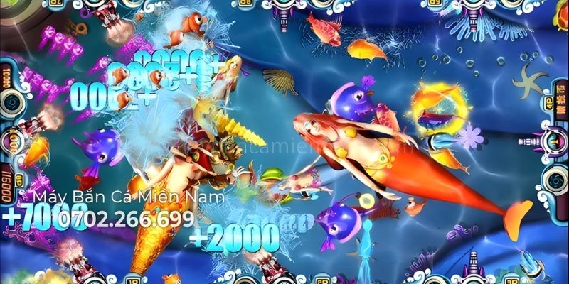 Nhóm cá nhỏ duy trì nguồn xu ổn định